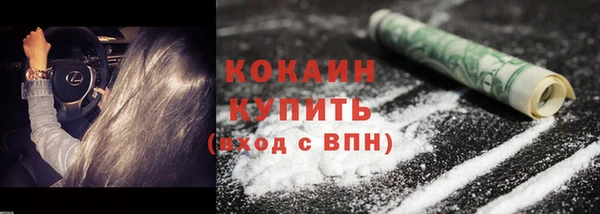 гидра Михайловск