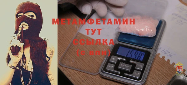 гидра Надым