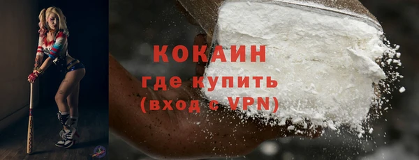 гидра Надым