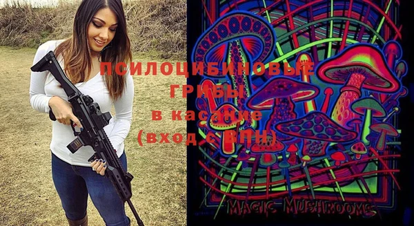 твердый Михайлов