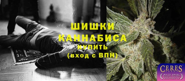 твердый Михайлов