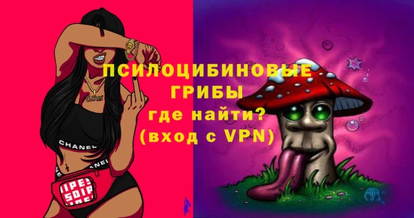 твердый Михайлов