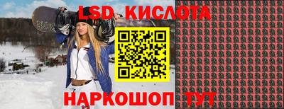 spice Обнинск