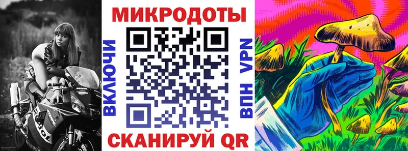 Псилоцибиновые грибы мицелий  Новодвинск 