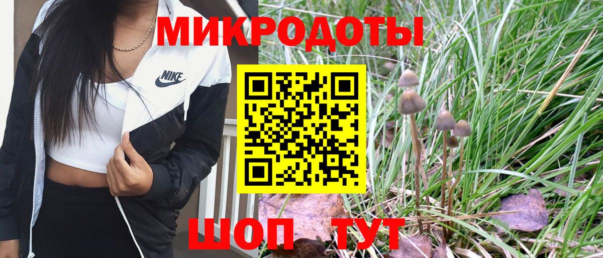 Галлюциногенные грибы Cubensis  Вход с VPN  Новодвинск 