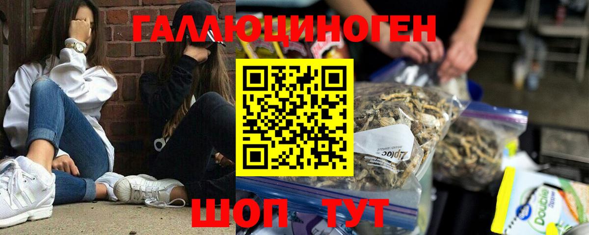 Галлюциногенные грибы мухоморы Новодвинск