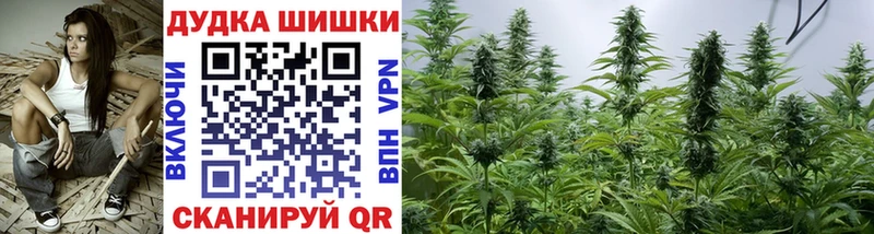 Марихуана Amnesia  Новодвинск 