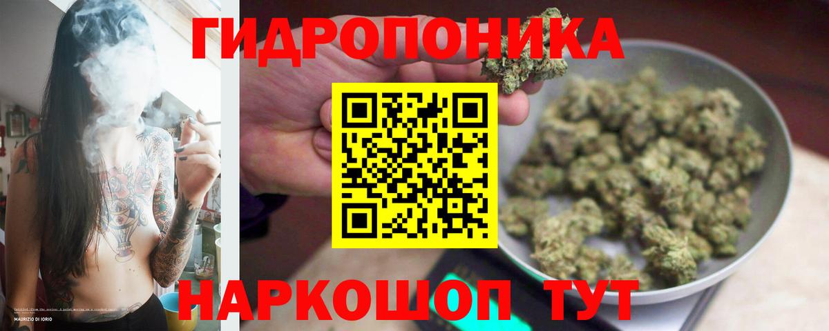 Бошки Шишки сатива Новодвинск